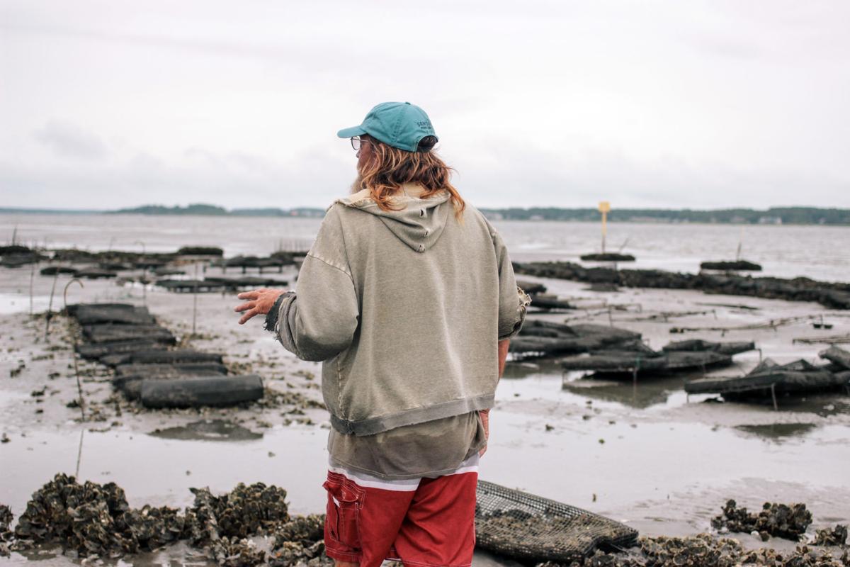 The Story of Clammerhead and the Famous Green Gills