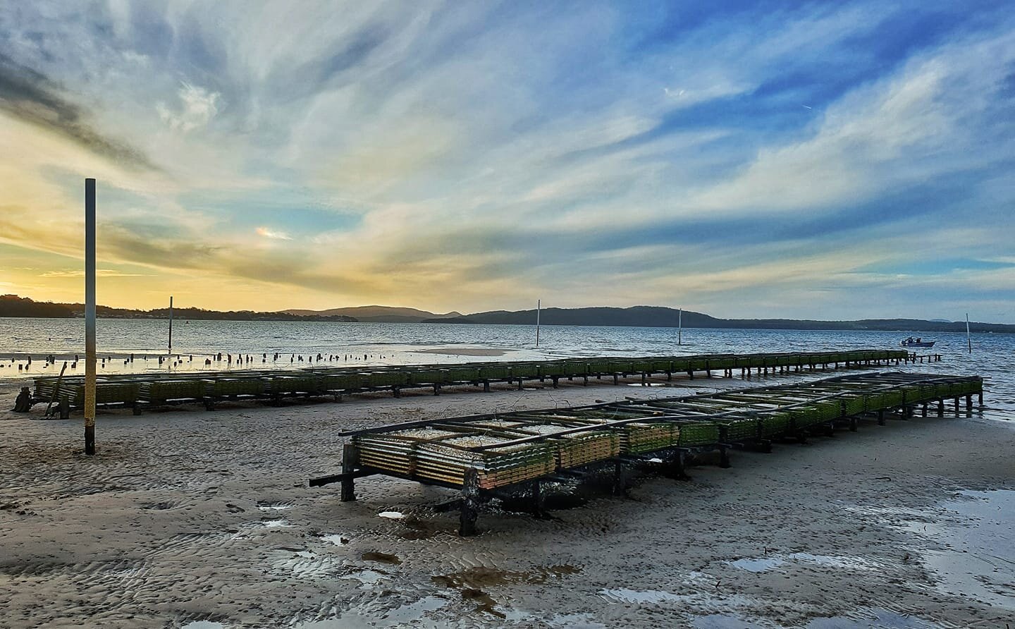 Stella Maris Oyster Co.: The Stars of the Sea in Port Stephens, Australia