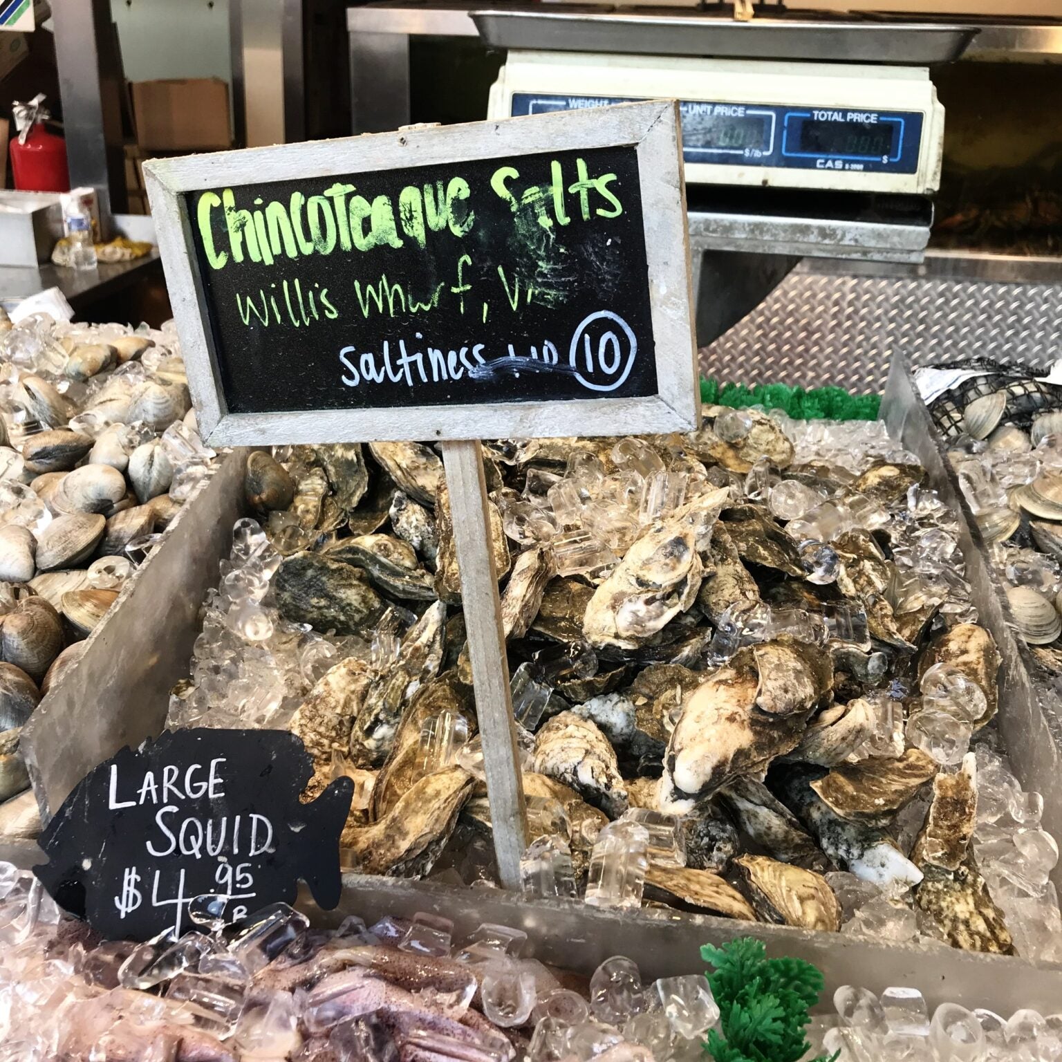 DC’s Hidden Secret: The Fish Market on the Wharf