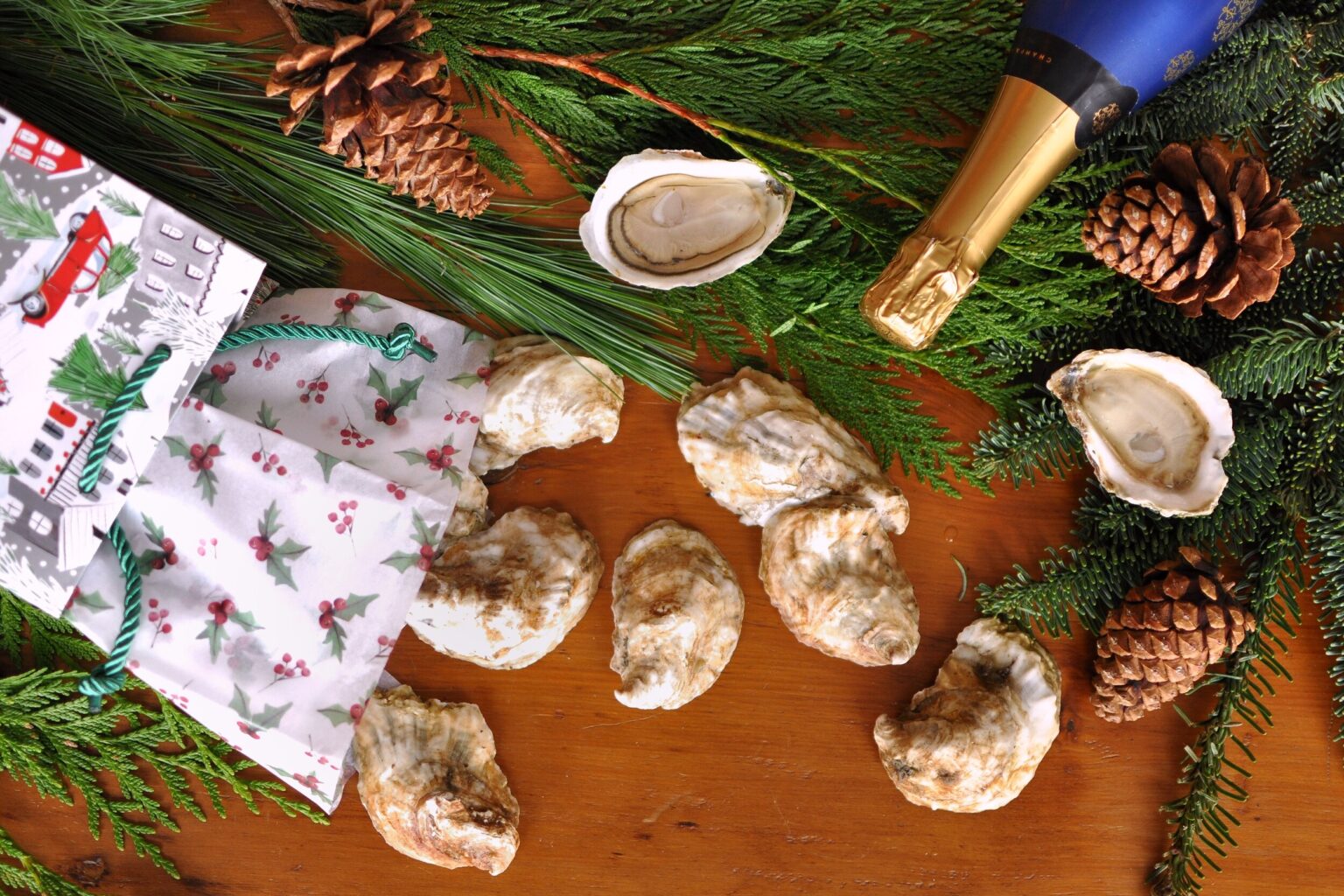 Lady Oyster’s 2020 Oyster Lover Gift Guide