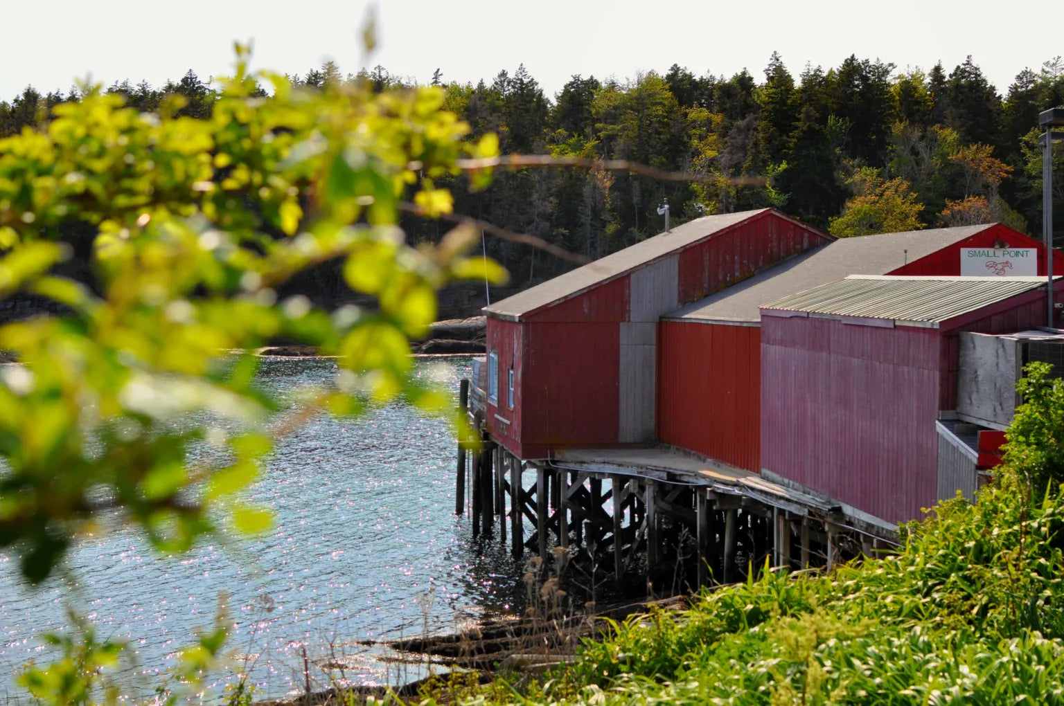 Maine Oyster Culinary Retreat | Sept 16-22, 2023