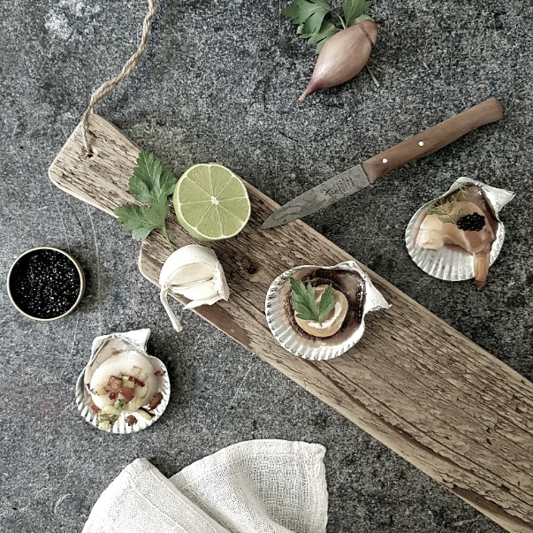 ANOVI Amuse Scallop Shells