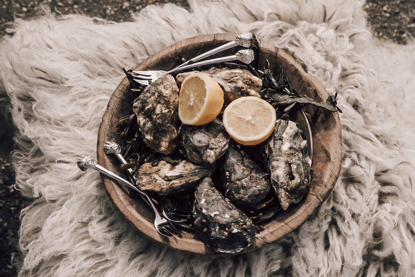 ANOVI Oyster Cocktail Forks