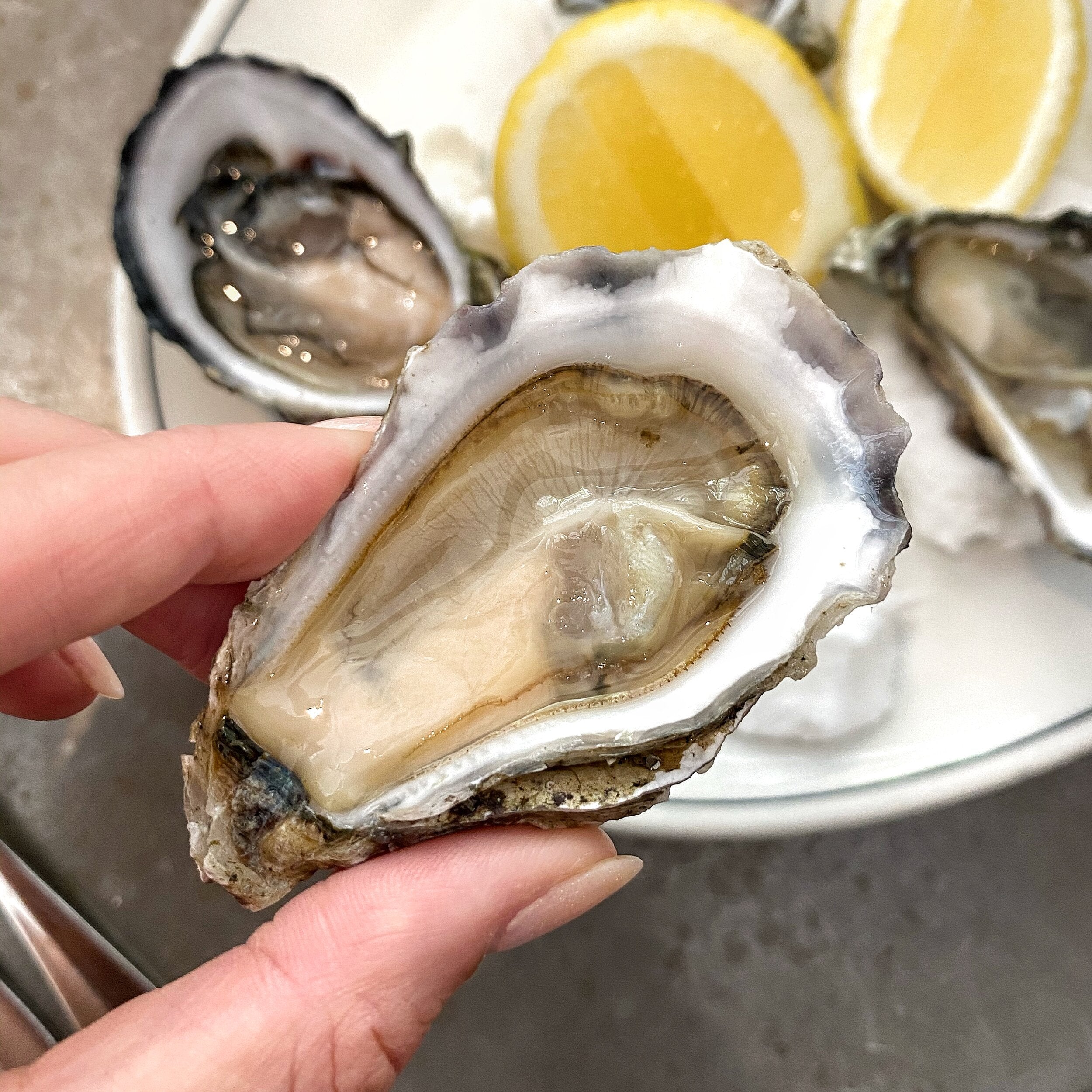 Cumulus Inc:  Melbourne's Kitchen for Oyster Lovers