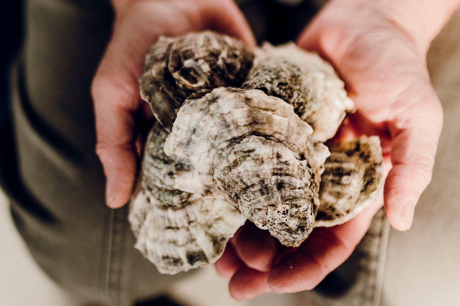 The Blind Oyster Farmer | Michael Barnett’s Story of Resilience Through Oysters