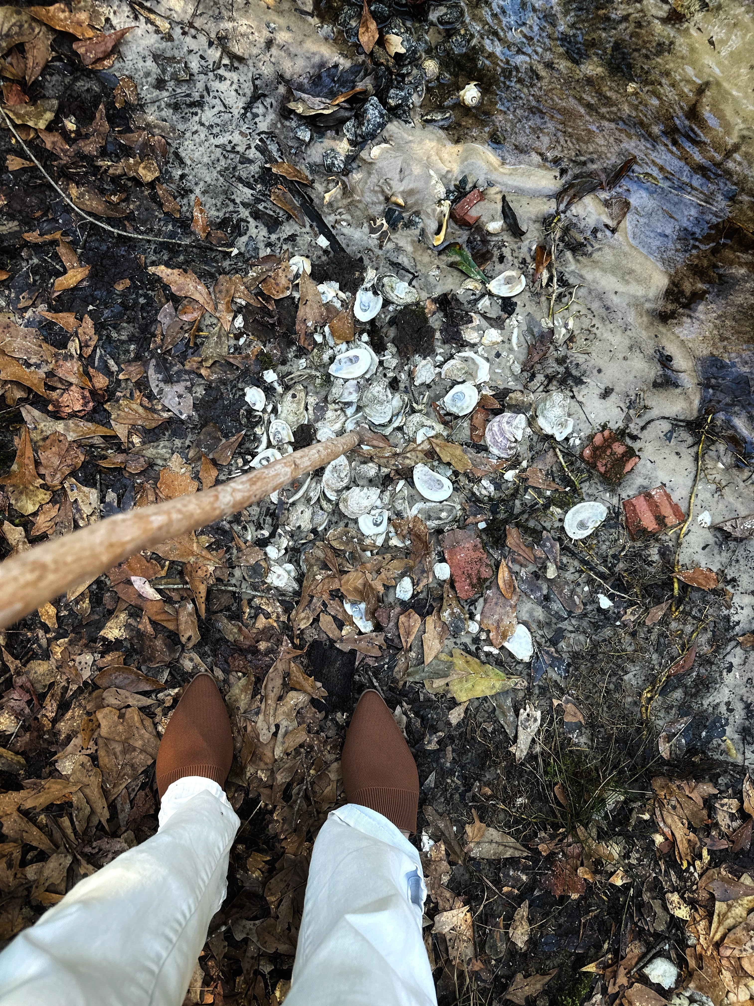 Our Florida Farm Gets a Midden
