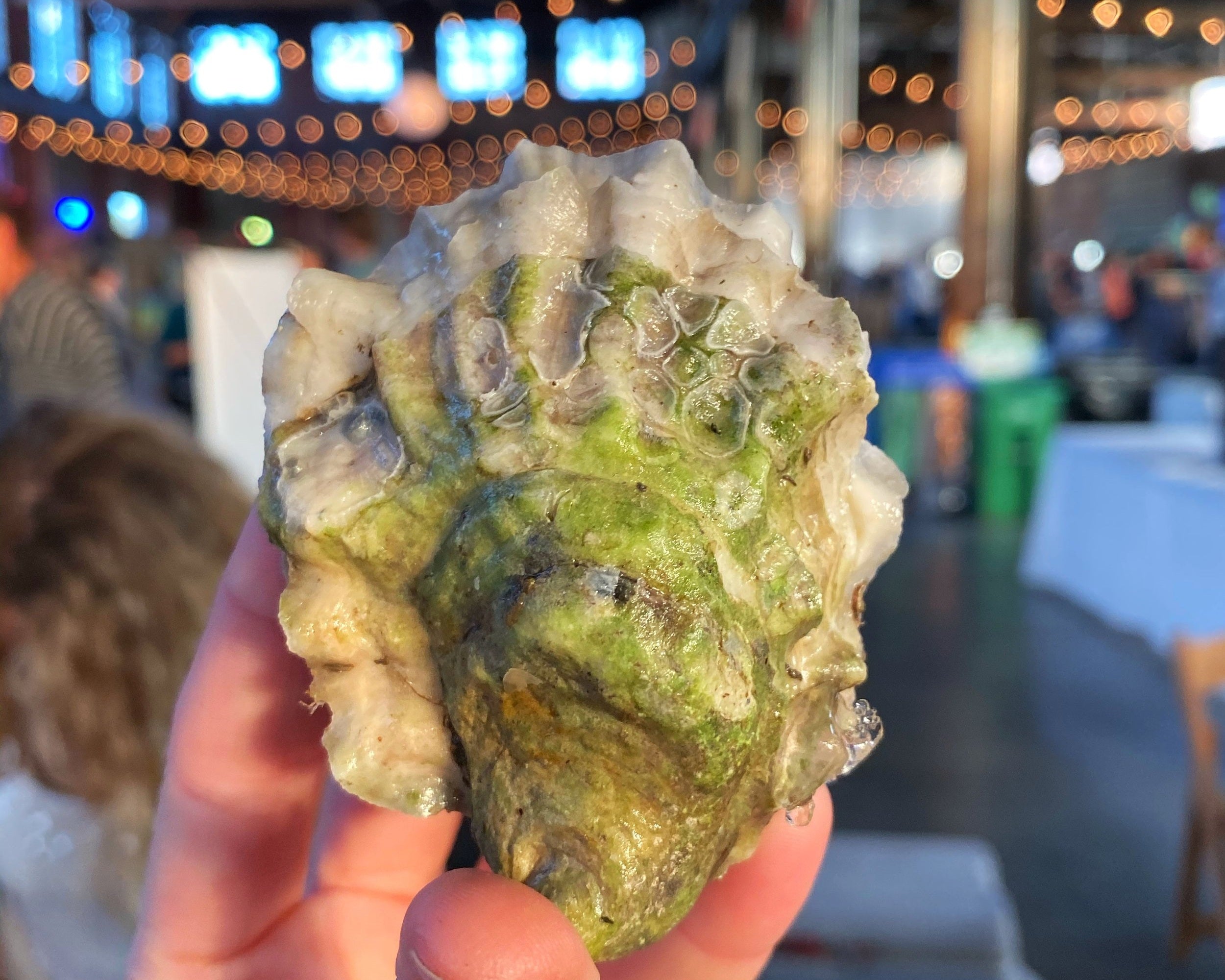 Maine's Autumn Miracle: Over 33 Maine Oyster Growers at one Oysterfest!