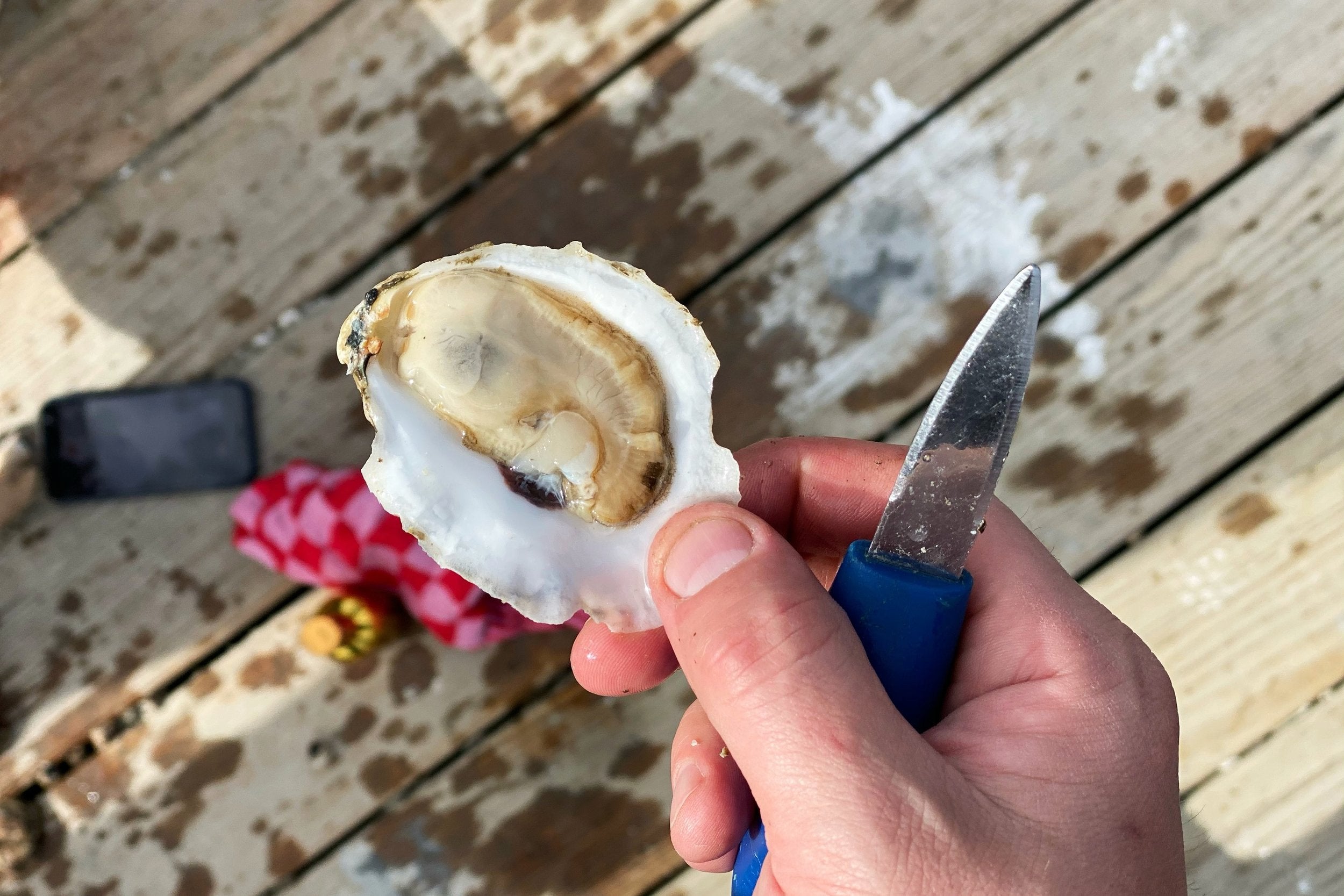 The Maine Oyster Company: A Hub for Community, Experiences, and Stories