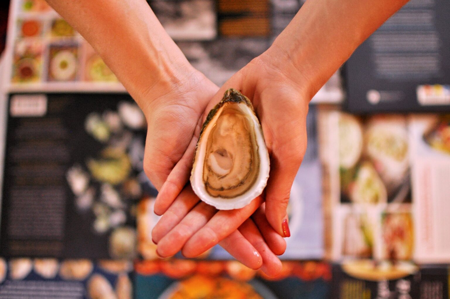 Oyster Love in a Book – Join Our Journey!