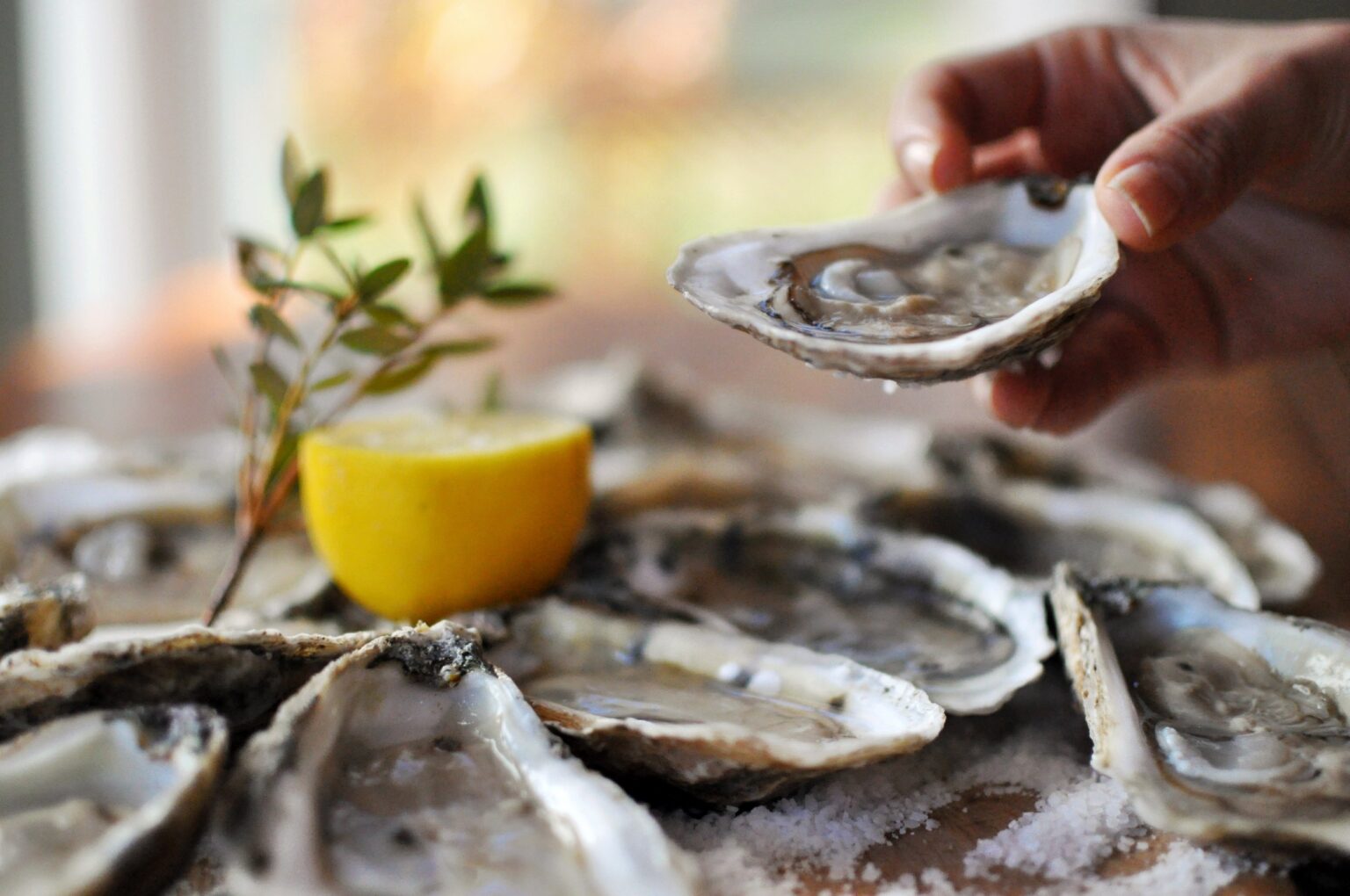3 Reasons Why Oysters are a Slow Food | A Salt Ceremony with Watch House Points and Chincoteague Salts