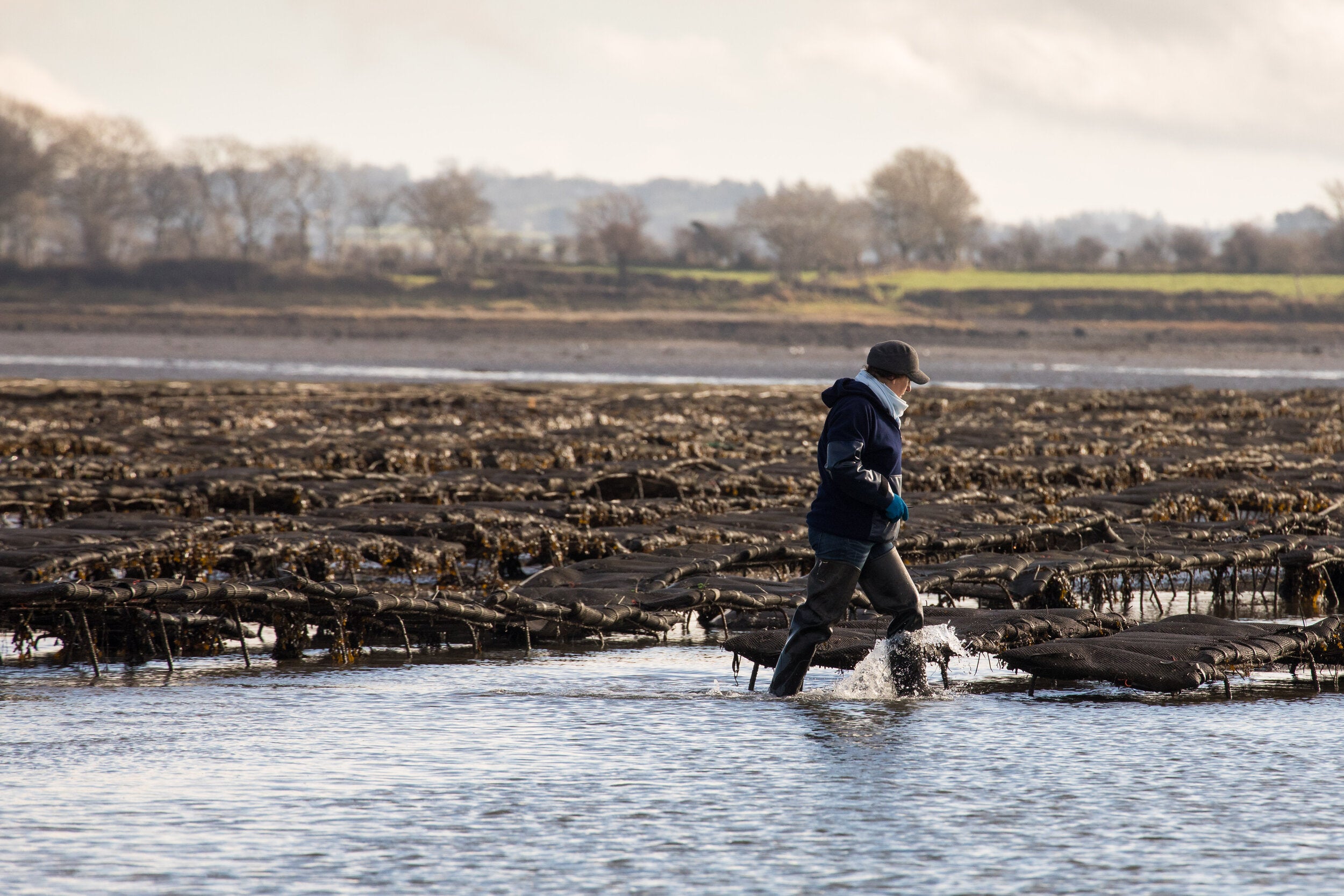 A Passion Found in a "Shelly Place": The Story of Marie-Aude Danguy and Triskell Seafood