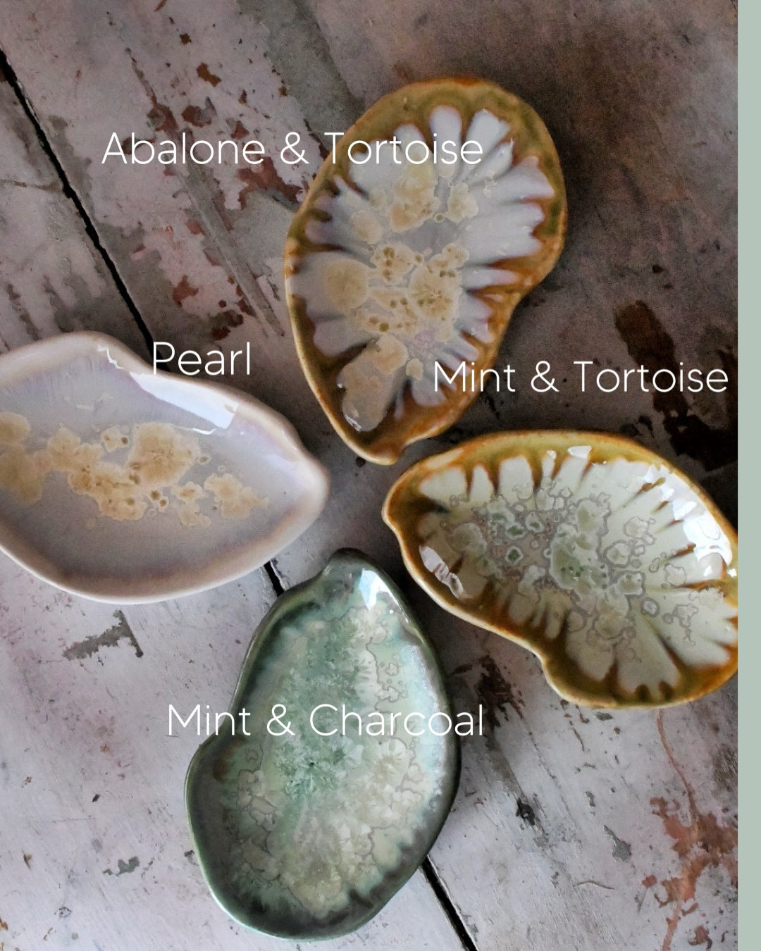 The Lady Oyster Maine Gift Box